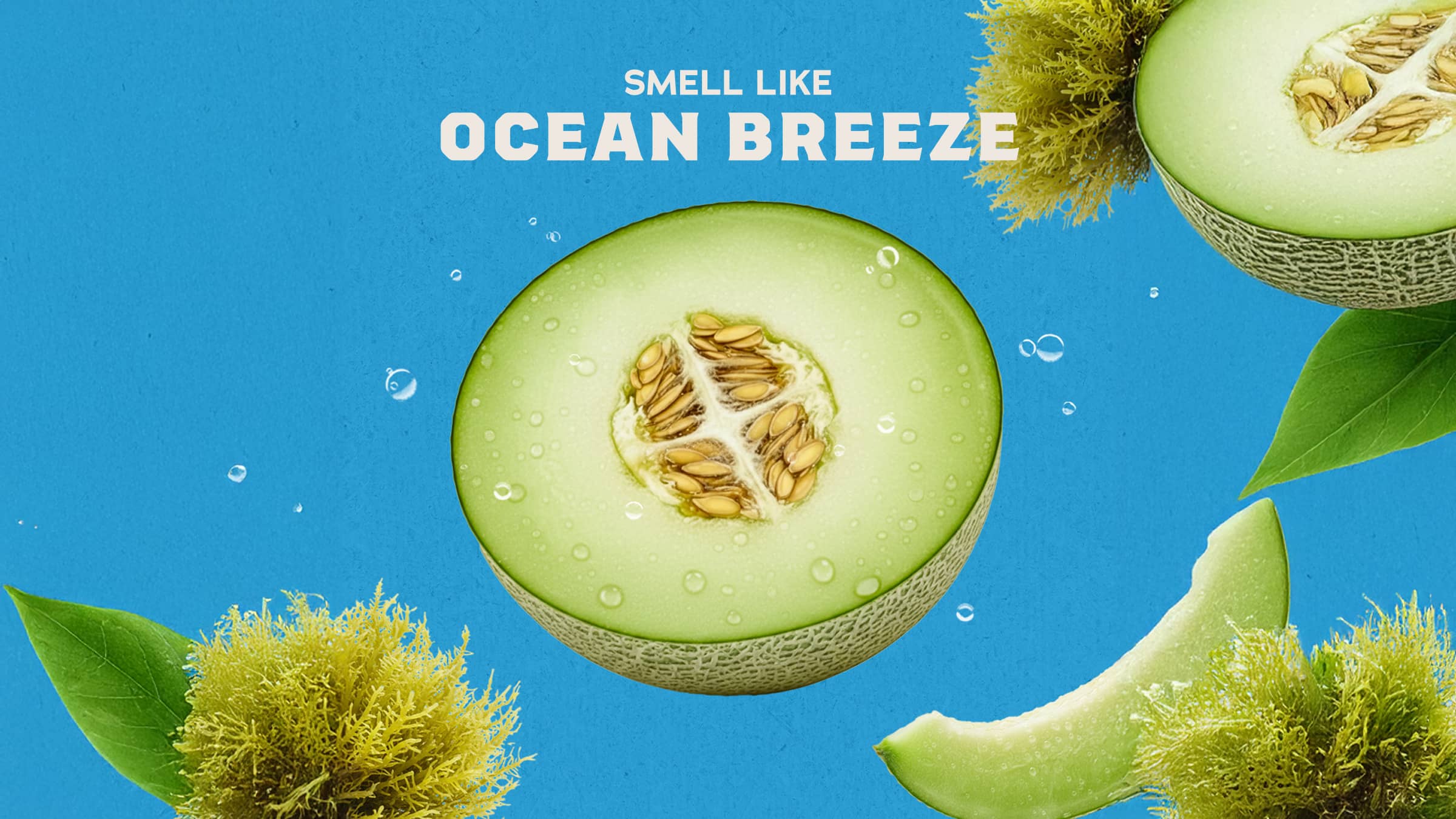 Coastal Mist Deodorant - Image 3
