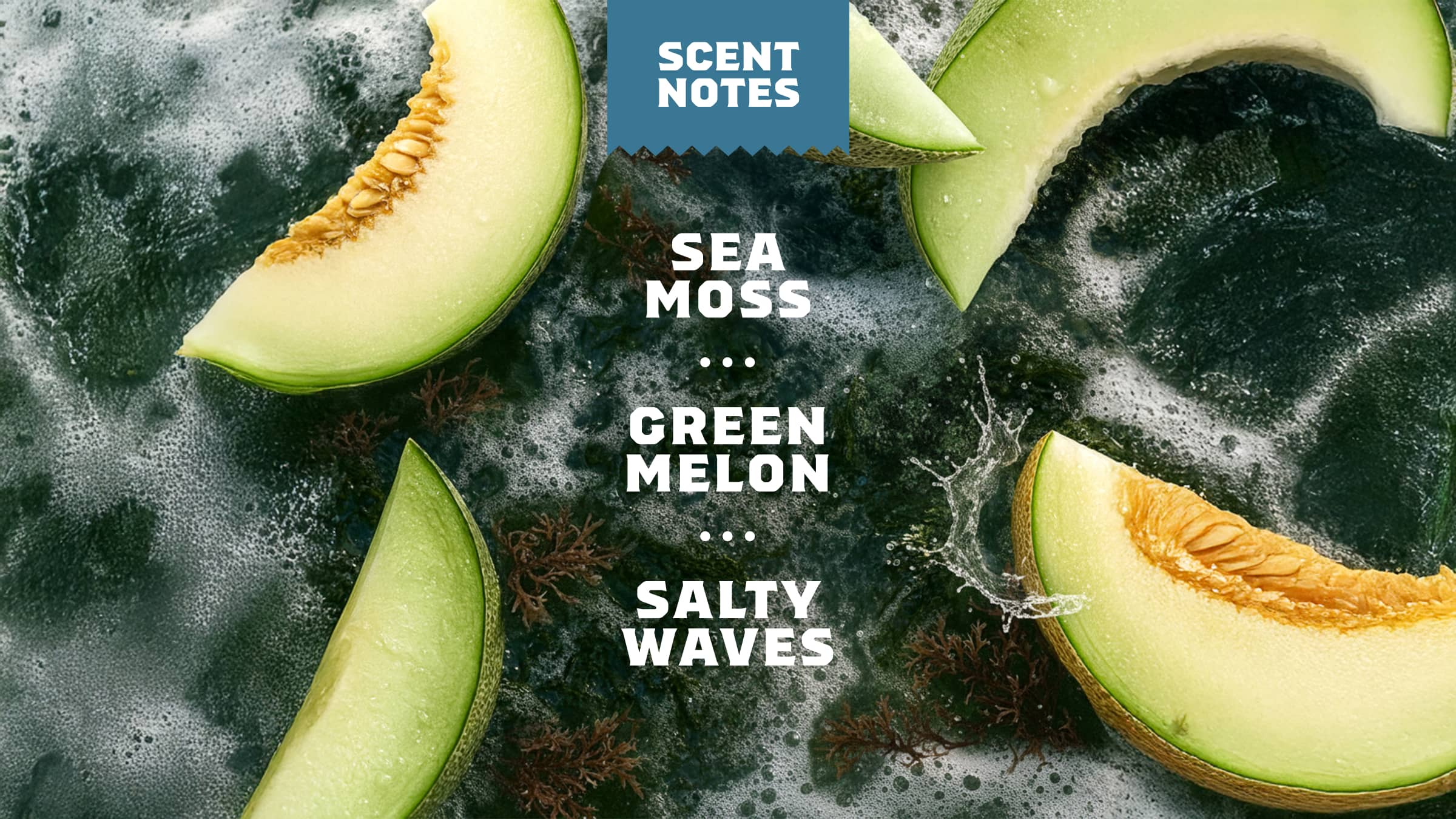 Coastal Mist Deodorant - Image 4