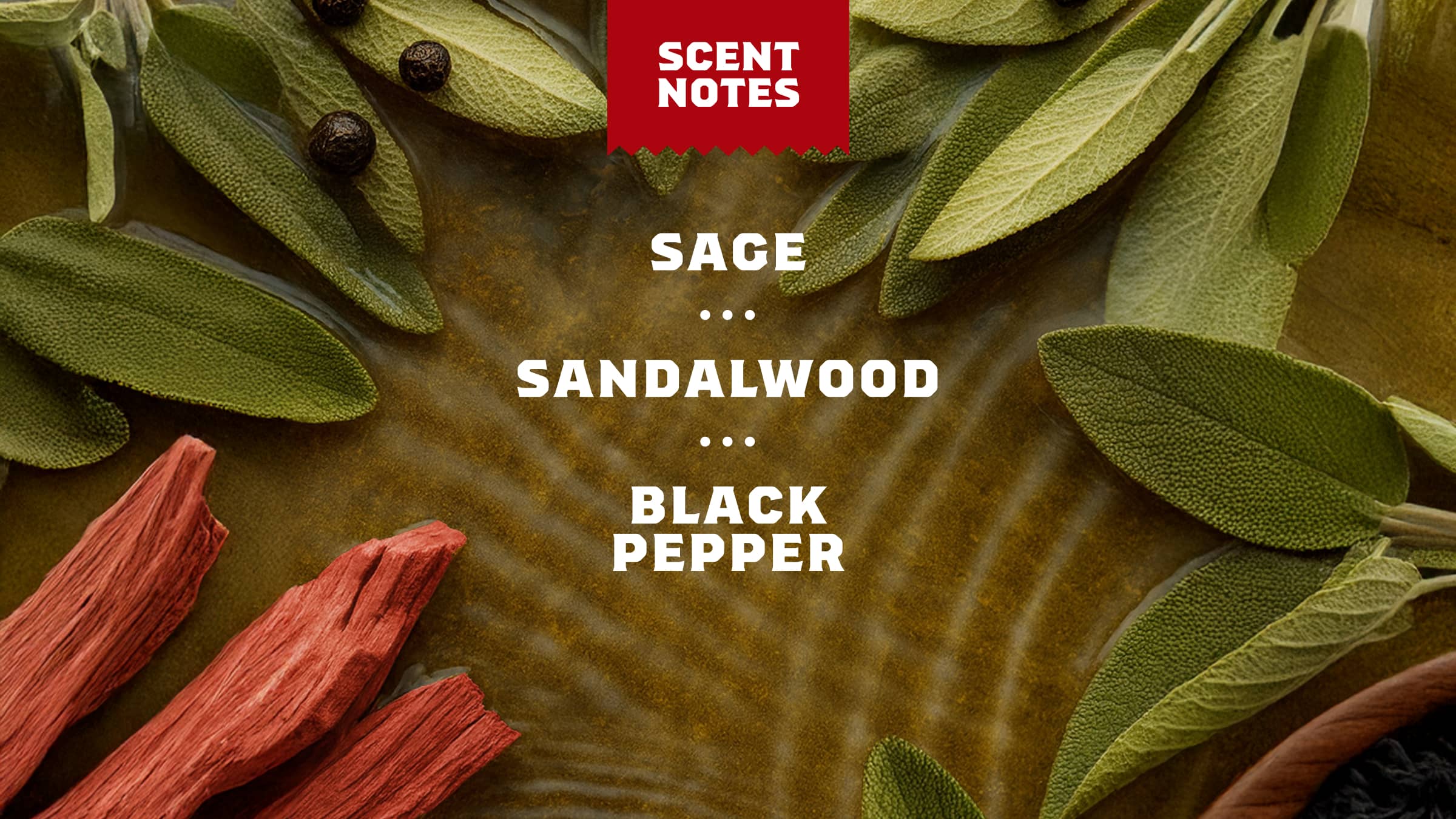 Sandalwood Summit Deodorant - Image 4