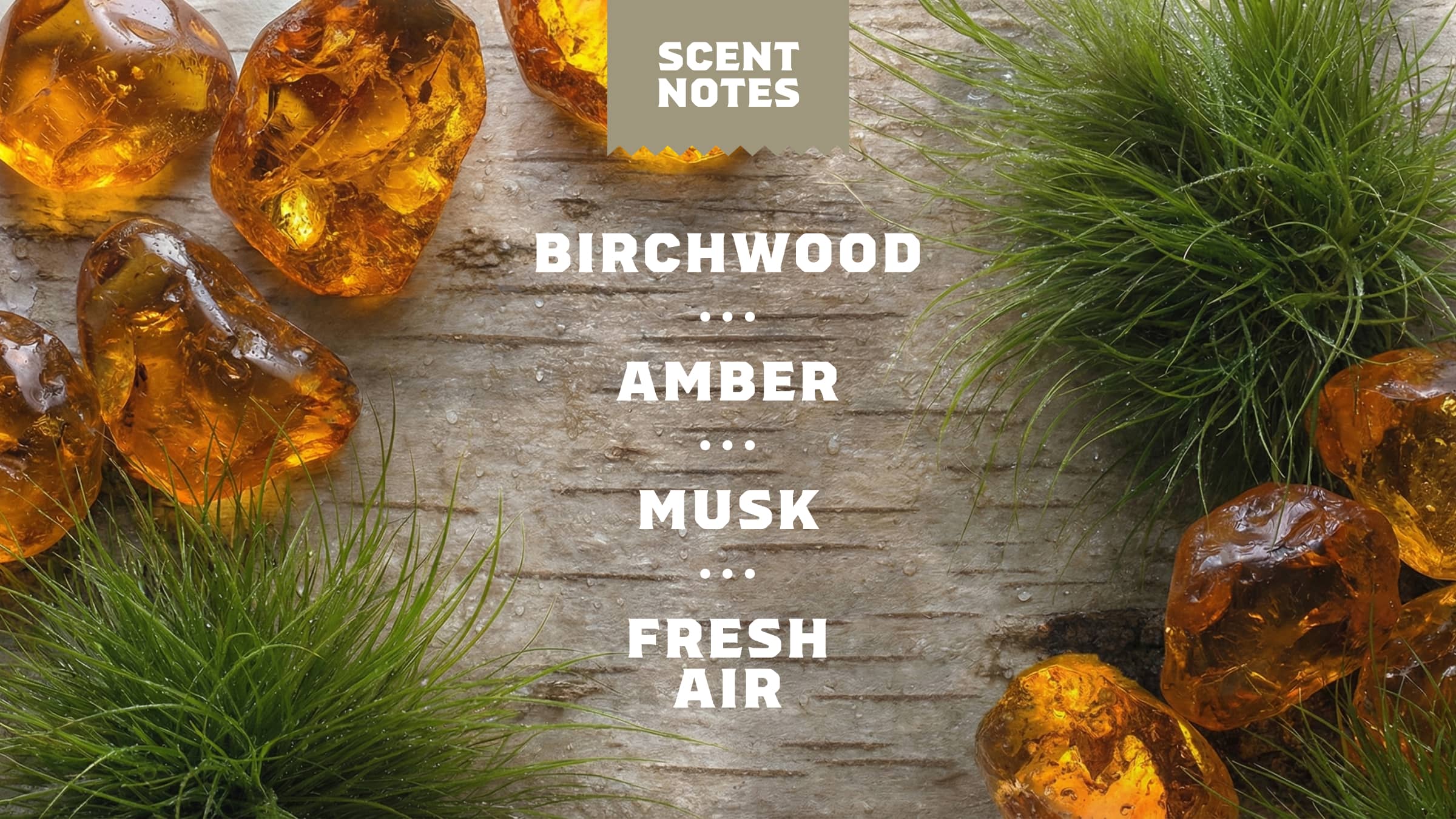 Birchwood Breeze Spray Deodorant - Image 4