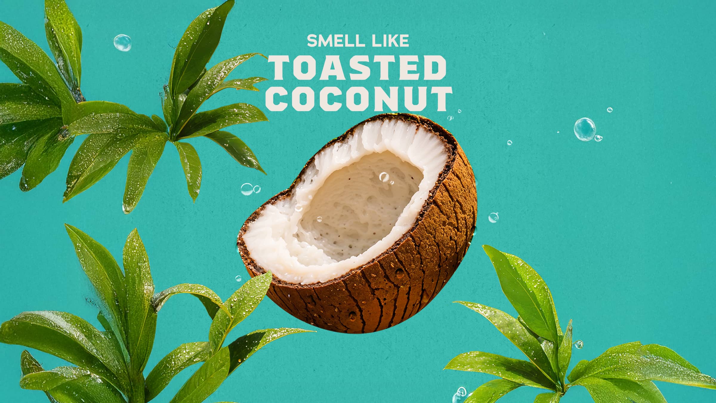 Coconut Castaway Shampoo - Image 3