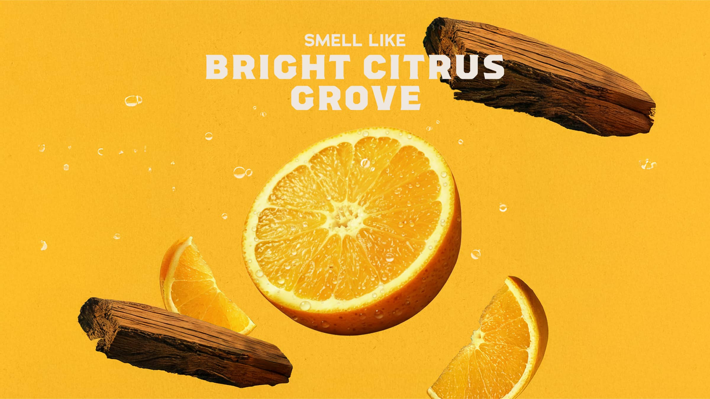 Summer Citrus Shampoo - Image 3
