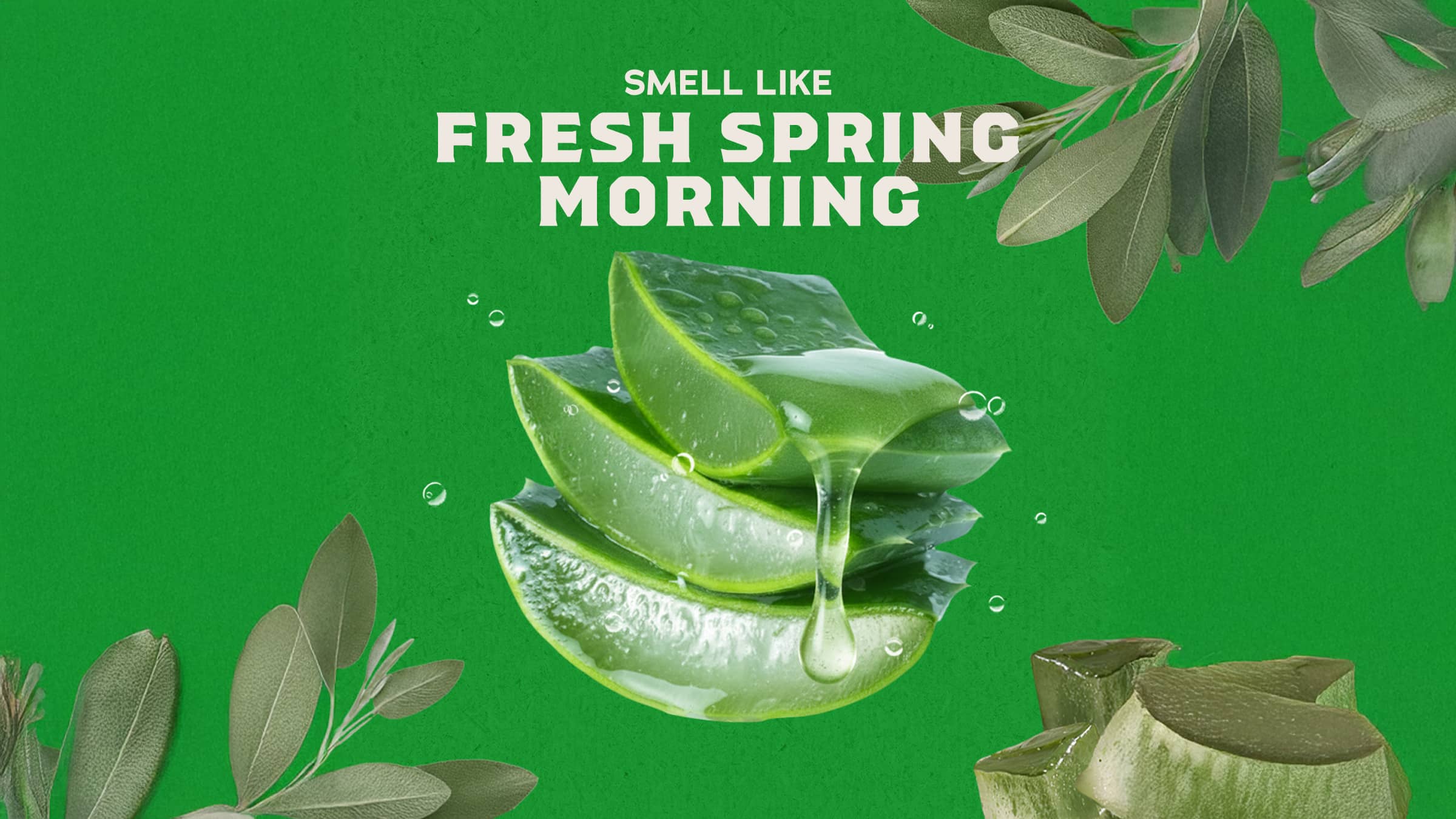 Cool Fresh Aloe Conditioner - Image 3