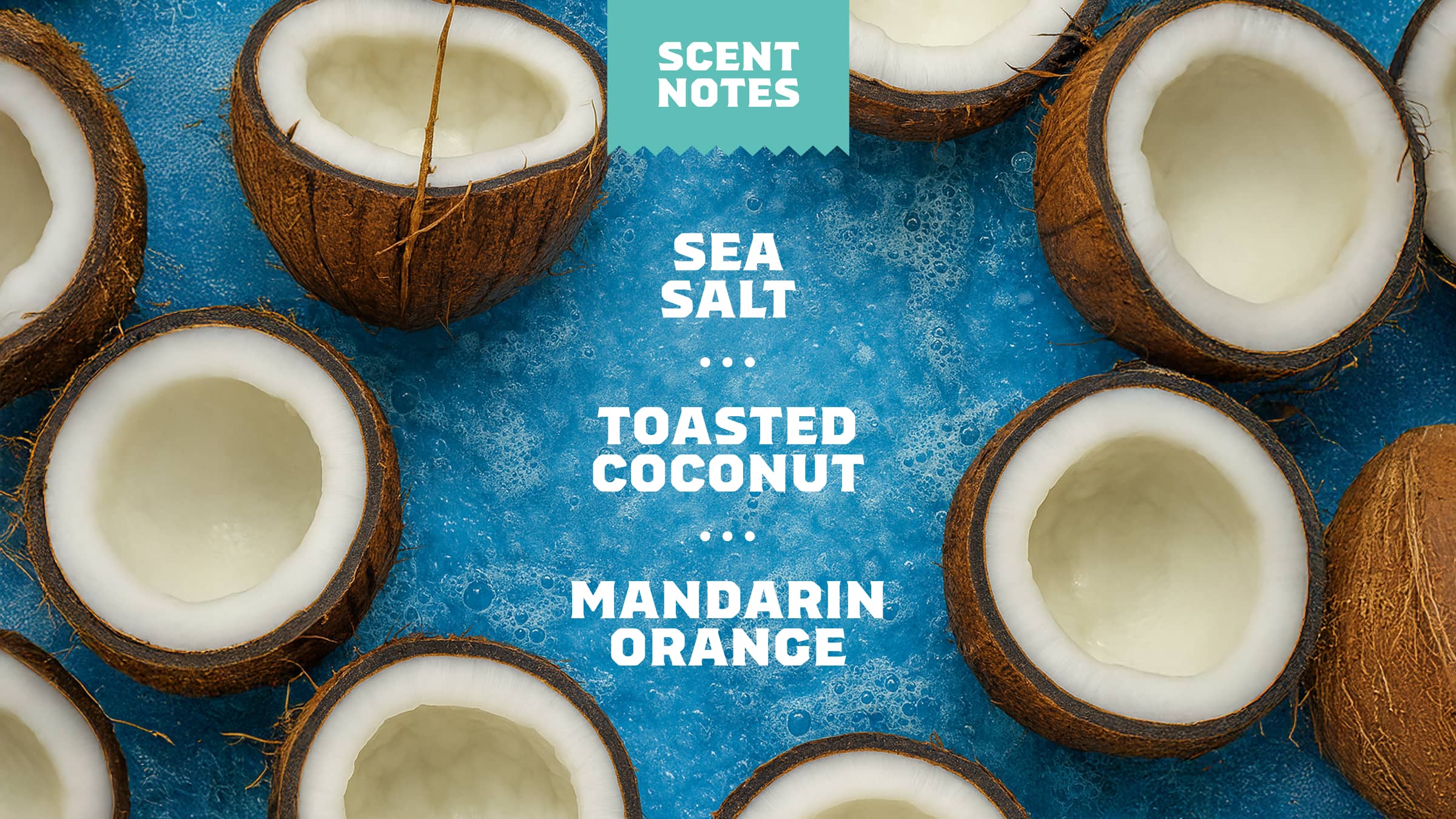 Coconut Castaway Shave Butter - Image 4