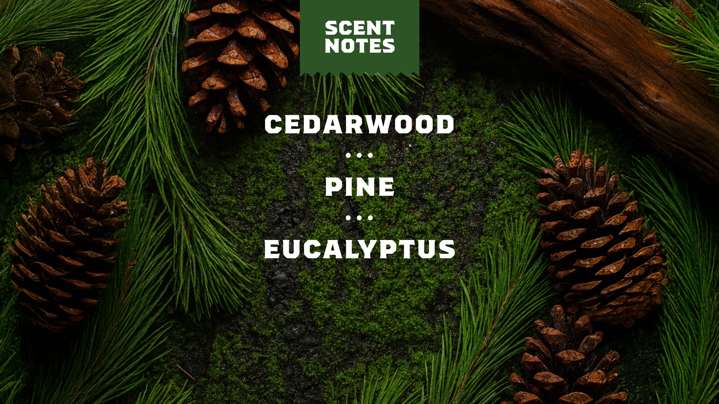 Pine Tar Body Wash - Image 4